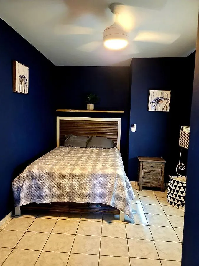 Modern Condo In Ashford Condado Beach San Juan Puerto Rico And Near Placita